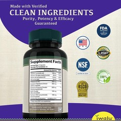 Immune System Support Supplements | Best Supplement Capsules FREE SHIP