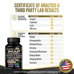 Immune System Health Supplements Boost Energy Support Muscle Health 120 Caps US
