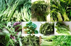 anti inflammatory supplement – ORGANIC GREENS – celery capsules 1 BOTTLE
