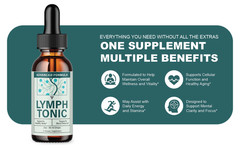 (2 Pack) Lymph Tonic Blood Support Drops, Lymphtonic Supplement (4 oz)