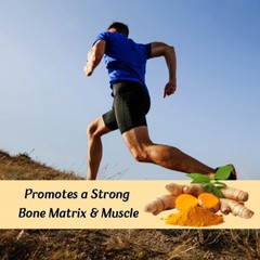 Turmeric Curcumin – 95% Curcuminoids Max potency Bioavailable Turmeric Extract