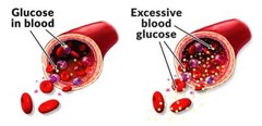 cholesterol essentials – ORGANIC YEAST RICE – heart health watch 3 BOT