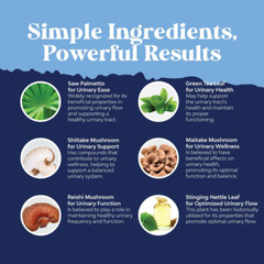 Prostate Power RX – Proactive Prostate Support – 12 Bottles