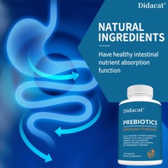Prebiotic Supplement Protect Intestinal Digestive System Health 120 Capsules