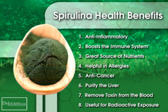 Immune support vitamins – GRAPE SEED EXTARCT – SPIRULINA COMBO – spirulina extra