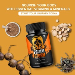 (5 Pack) Primal Storm Performance Support, PrimalStorm Capsules (300 Capsules)