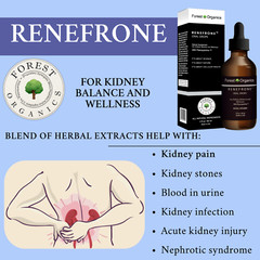 Kidney Support and Urinary Tract Support with 7 Plant Extracts Optimal Kidney