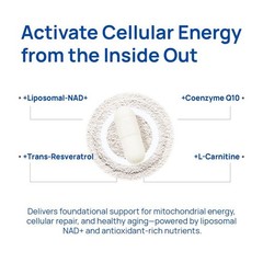 Selerb NAD+ Supplement for Men – With Liposomal-NAD+,CoQ10, L-Carnitine-*