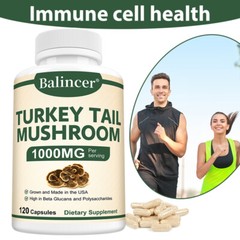 Supplements Turkey Tail Mushrooms Improve Digestion Strengthen Immunity 120 Caps