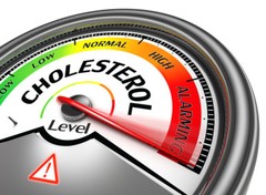 Antioxidant boost – CHOLESTEROL RELIEF – 460 Mg – 2B – low cholesterol diet