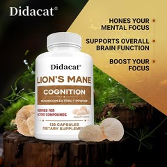 Lion&rsquo;s Mane Cognitive Extract Powder – Supports digestive and emotional health