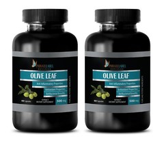 Olive Leaf Extract Powder – OLIVE LEAF EXTRACT – Fights Against Infections -2Bot