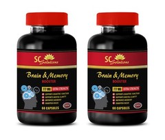 ginkgo biloba plant – BRAIN & MEMORY BOOSTER – 2B – has Positive Effect on Mood