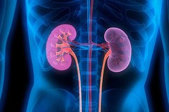 Kidney Advantage-KIDNEY SUPPORT COMPLEX-Cranberry acids anti-bacterial-2B