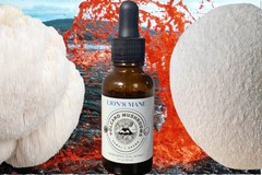2oz Lion’s Mane Dual Extract Tincture (Regenerative Substrate, Hawai’i Grown)
