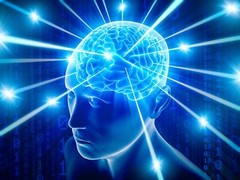 brain neuro memory boost – MUCUNA PRURIENS – mood boost men 3BOTTLE