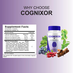 (3 Pack) Cognixor Advanced Brain Supplement, Cognyxor Support (180 Capsules)