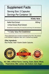 Stinging Nettle Root Extract 800mg Serving – High Strength –