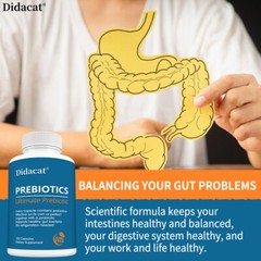 Prebiotic Supplement Protect Intestinal Health & Digestive System Health