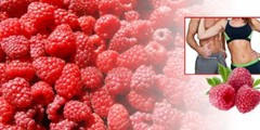 Immune system cleaner – RASPBERRY KETONES – CLA COMBO – raspberry ketone blend