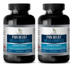 pain killer – PAIN RELIEF MEGA COMPLEX 610MG 2B- holy basil