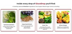 GLUCO DROPS, Blood Sugar Support, Dietary Supplement