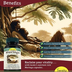 Moringa Leaf Nutrients | Best Supplement Capsule Pill Men Women FREE SHIP
