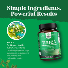 Advanced TUDCA Liver Support Supplement – Extra Strength TUDCA 500mg Bile Salts