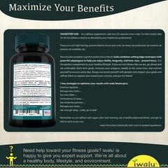 Vitamins To Help Boost Memory: Experience Better Recall, Brain-Optimized Support