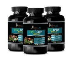 immune support essential – PINE BARK EXTRACT – advanced antioxidant 3 BOTTLE