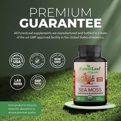 2 PACK ForestLeaf Organic Sea Moss Bladderwrack Burdock Root 180 Veg Cap USAMADE