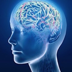 Memory support for kids – Brain & Memory BOOSTER FORMULA 777MG 3B – fatty acids