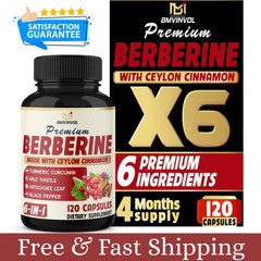 Berberine with Ceylon Cinnamon Tumeric Root, Milk Thistle, 6in1 (120 Capsules)