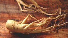 maca root extract – FEMALE ENHANCEMENT – 2B – beneficial for other aging issues