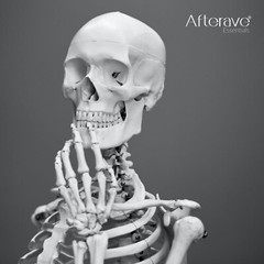 BoneBase Premium Joint Mobility, Connective Tissue, Build Strong Bone Matrix