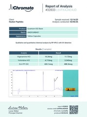 Quantum-332 Base Blend | 65 Capsules | Exclusive Premium Formula | COA | RUO