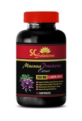 mucuna seeds – MUCUNA PRURIENS EXTRACT -1B- can help during sexual activity