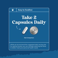Lung Detox Mullein Leaf Capsules – with NAC Quercetin & Cordyceps Extracts 30ct