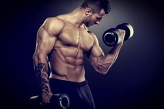 creatine monohydrate – Creatine Tri-Phase Pyruvate – muscle pump supplement 2B