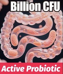 Kehlusty Gut Pro Active Probiotic Digestive Support 18000B CFU 60 Capsules