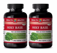 Basil seeds -HOLY BASIL TULSI HERB ANTIOXIDANT -Holy basil anti aging -2B