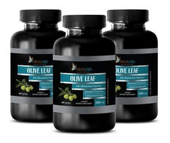 Olive Leaf Extract 500 – OLIVE LEAF EXTRACT – Prevent Aging – 3 Bottles