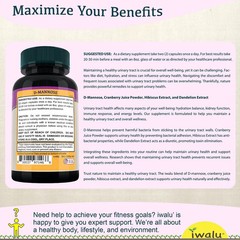 Urinary Tract Natural Supplements | Best Supplement Capsules FREE SHIP