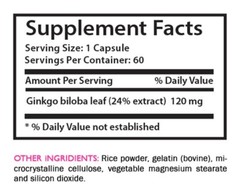 Leaf blend – GINKGO BILOBA EXTRACT – Botanical properties 2 Bottle 120 Capsules