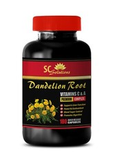 skin support – DANDELION ROOT 520MG – anti inflammation diet 1B