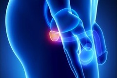 kidney care – PROSTATE SUPPORT Advanced Complex -3B- benefits for prostate