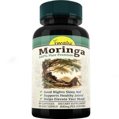 Cocoringa Moringa Hot Chocolate | Mejora Suplemento ENVIO GRATIS