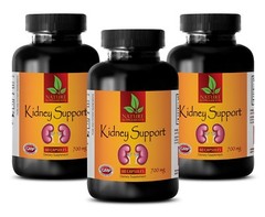 Horsetail Plant – KIDNEY SUPPORT 700mg – Boost The Immune System 3B