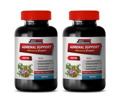 smart blood sugar – ADRENAL SUPPORT – brain boost — 2 BOTTLES
