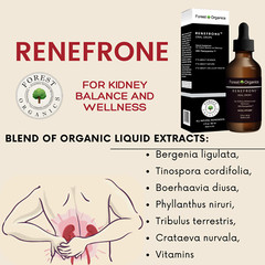 Kidney Support and Urinary Tract Support with 7 Plant Extracts Optimal Kidney